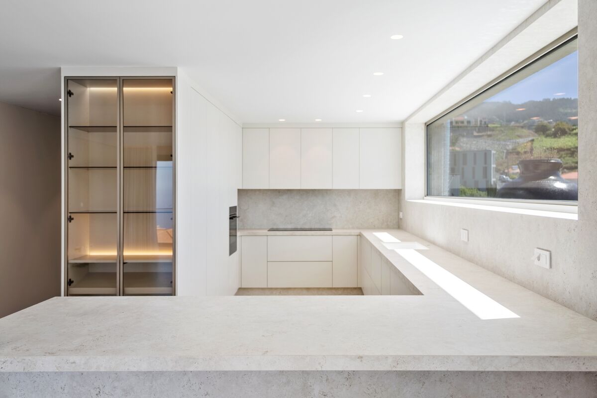 Modern kitchen with premium appliances